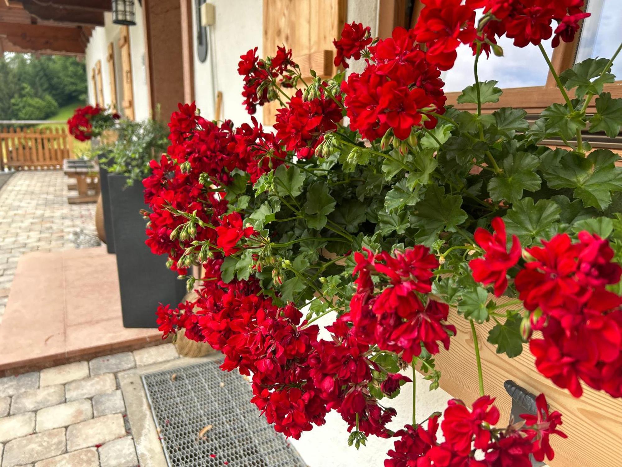 Auf'M Feggenlehen Hotel Ramsau bei Berchtesgaden Exterior foto